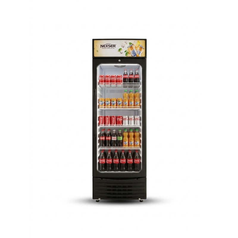 Witrinaly sowadyjy NEXSER NS-250SC 250 l