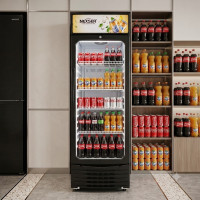 Witrinaly sowadyjy NEXSER NS-250SC 250 l