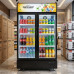 Witrinaly sowadyjy NEXSER NS-600SC 600LT