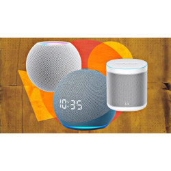 Akylly kolonkalar (16)