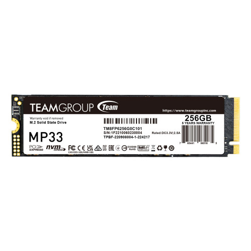 TEAMGROUP MP33 256 GB (M.2 NVMe görnüşli) gaty ýagdaýly disk