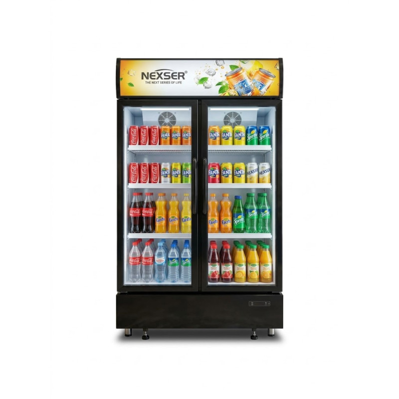 Witrinaly sowadyjy NEXSER NS-600SC 600LT
